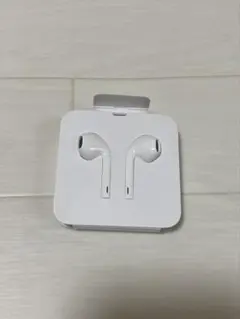 Apple EarPods with Lightning Connector