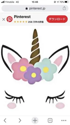 misa crown☆様専用