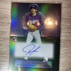 Item thumbnail for item 8e3865ab-5417-4953-a8a6-cd0a31fc5f9c