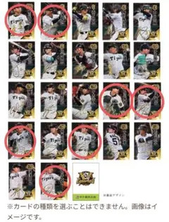 【阪神タイガース】甲子園歴史館 限定 リーグ優勝記念カード7種7枚