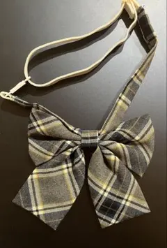 Item thumbnail for item 431cd4b4-048a-4bdf-9df4-243b432757ae