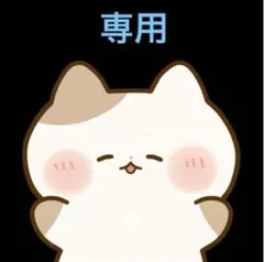 専用
