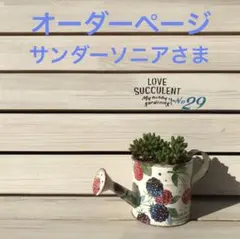 サンダーソニアさま専用です