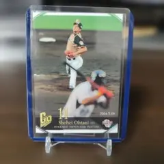 Item thumbnail for item 1271db28-32b9-4fa3-ba9f-993b459b543a