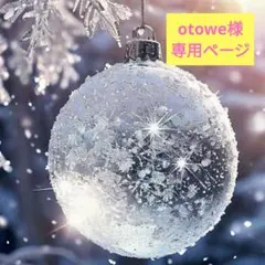 ★otowe様専用ページ★