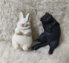 zoo zoo zooのんきだ寝 ウサギ　ねこ