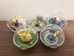 ポケモンテラリウム