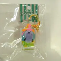 パペットスンスンSUNSUN Candy Storeジェリービーンズキーホルダー