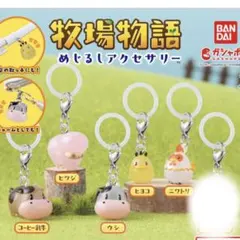 牧場物語 めじるしアクセサリー　5種セット