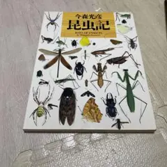 昆虫記 今森光彦 A4サイズ