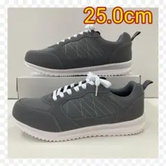 Item thumbnail for item 21e12eaa-be90-4035-8dbc-14b54e6a815a