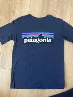 パタゴニア　tシャツ　キッズ