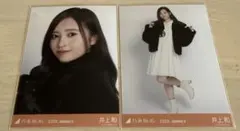 乃木坂46 生写真 井上和 ボアコート ヨリヒキのサムネイル