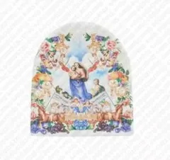 Supreme Heavenly Beanie 似ているビーニーです