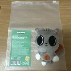 値下げ⭕️TXT ダゴニャン テヒョン 初期キーリング＆ぬいぐるみトレカ