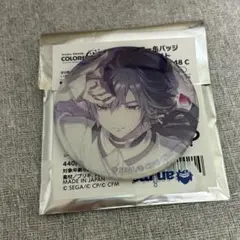 プロセカ KAITO ニゴカイ グリ缶 48C