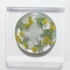 Item thumbnail for item 36f1abed-44f5-41f6-97bf-40381299d00d