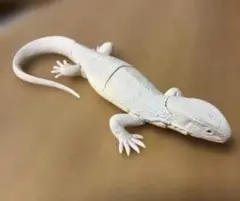大トカゲ　フィギュア