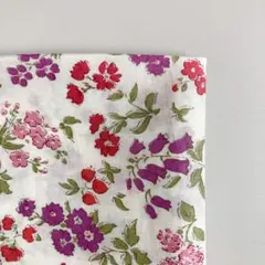 Item thumbnail for item 0f539739-42d4-4122-96d0-b79daaa87047