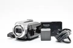 パナソニック　Panasonic HDC-HS9 ビデオカメラのサムネイル