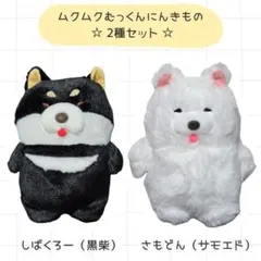ムクムクむっくんにんきものST　ぬいぐるみ　しばくろー　さもどん　柴犬　サモエドのサムネイル