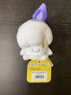 【新品タグ付き】ポケモンfit フィット ヒトモシ ポケモンセンター