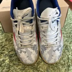 ミズノモナルシーダ　フットサルシューズ24センチ