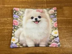 ポメラニアン　8重ガーゼハンカチ