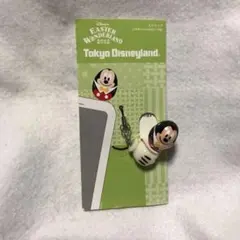 東京ディズニーランド 2012 イースター ワンダーランド ストラップ 未使用品