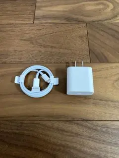 Apple純正　USB-C充電器 20W & Lightningケーブル