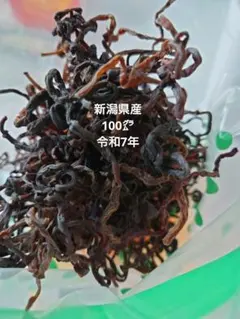 南魚沼産 天然ぜんまい 乾燥50g - メルカリ