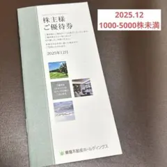【最新版】東急不動産ホールディングス株主優待券【1000～5000株未満】
