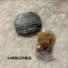 PEANUTS スヌーピー ビスケットミニチュアチャーム