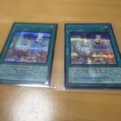 ヤミーズメント★アクロッキー　シク　ロゴあり