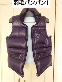 ハリス　ネイビー ダウンベスト メンズ