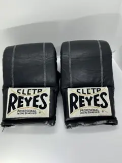2025年最新】レイジェス ボクシンググローブ reyesの人気アイテム