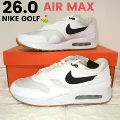 NIKE GOLF シューズ