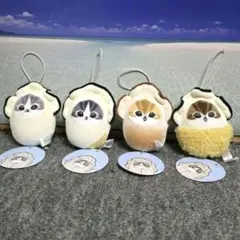 2026年最新】モフサンド ぬいぐるみ まとめ売りの人気アイテム - メルカリ