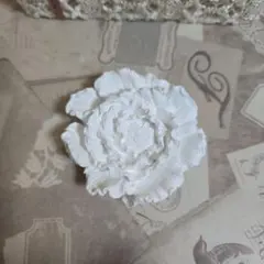 Blanc様専用ページ アロマストーン♡シャクヤク 2個セット