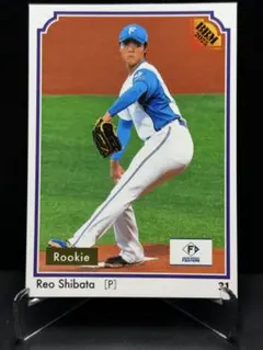 Item thumbnail for item 49b7a1cc-5224-4b11-be5b-1196b7dc47de