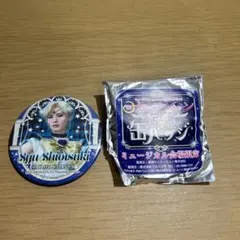 Item thumbnail for item f5e09540-6a5c-49a6-8ab4-7e42105e10f2