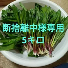 断捨離中様専用5キロ