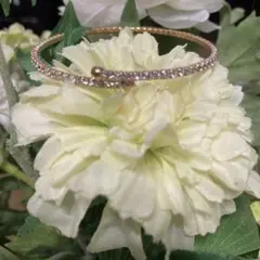 Item thumbnail for item 2c0ee44f-fa9c-46cc-a251-c3d4c852af65