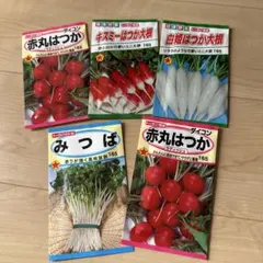 ぶーこ。〚Boocostamp…˖⁺〛様 リクエスト 2点 まとめ商品