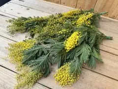 みつこ様 リクエスト 2点 まとめ商品