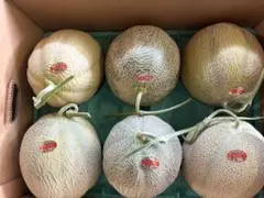 【冷蔵便お届け】夕張メロン個選品5玉8kg箱　1玉1.6kg前後※掲載は関東価格 冷蔵便お届け】夕張メロン個選品5玉8kg箱 1玉1.6kg前後※掲載は関東価格
