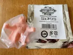 白濱亜嵐◆WONDER SQUARE◆ジェネケシ