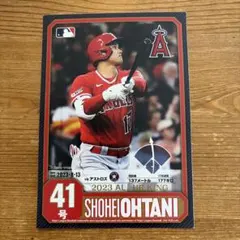 大谷翔平 ホームランキング ポストカードのサムネイル