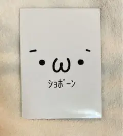 ショボーン カード　　MKさま♡