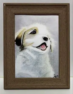 色鉛筆画146 犬「起きてよ〜」